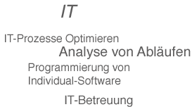 IT – IT-Prozesse optimieren, Analyse von Abläufen, Programmierung von Individual-Software, IT-Betreuung